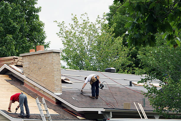 Best Roof Gutter Cleaning  in Queen Anne, MD